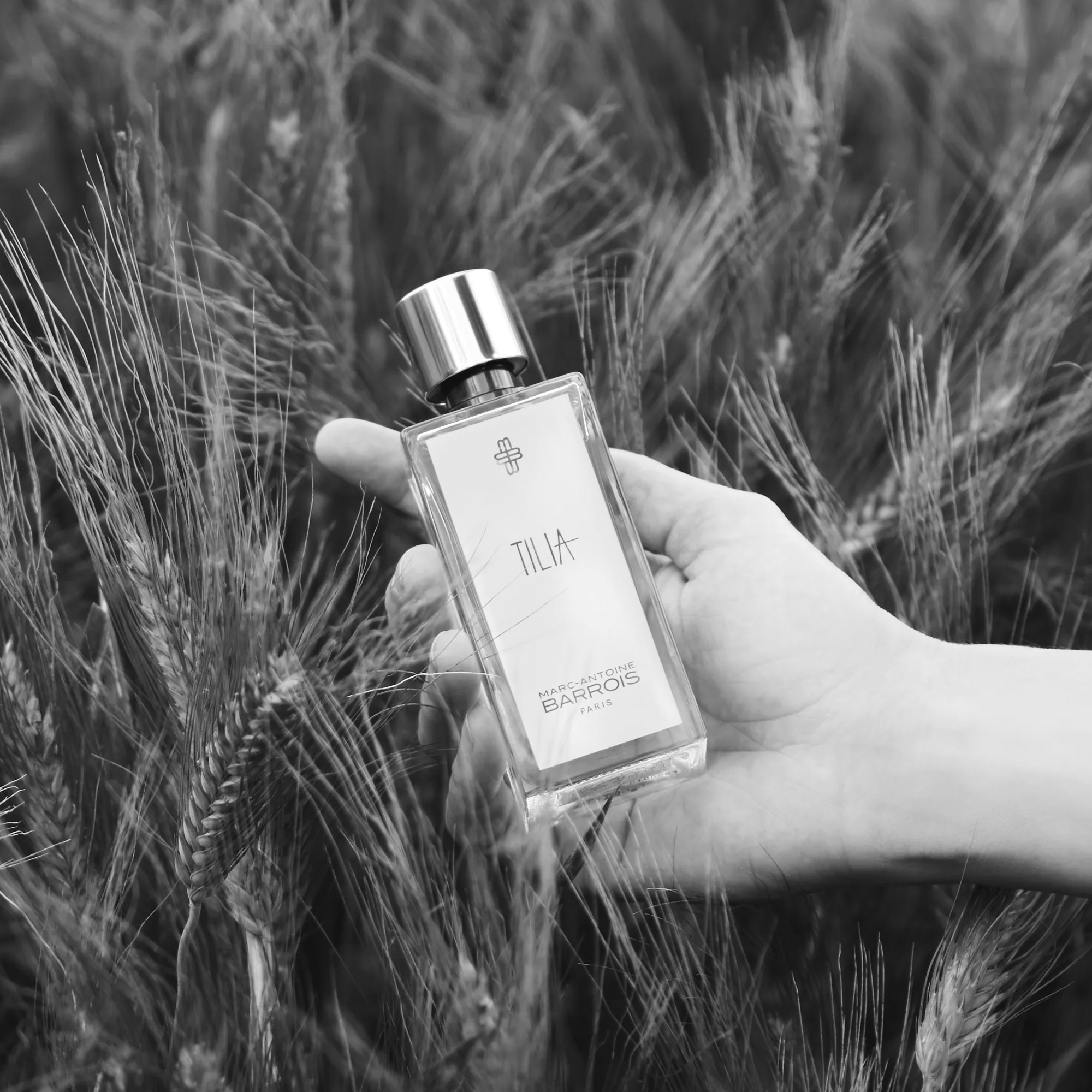 Perfume Tilia en la portada del artículo de mejores perfumes para verano 2025