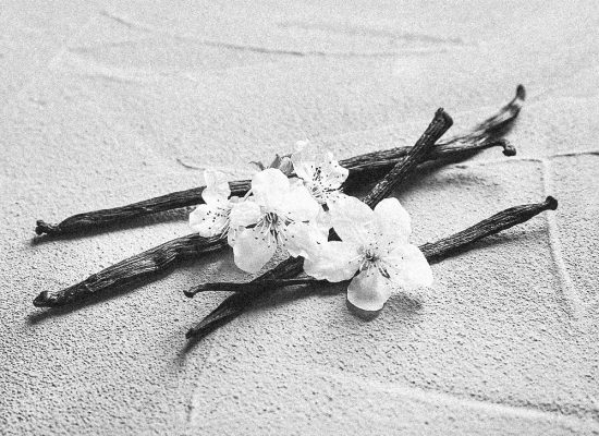 Vainas de vainilla con flores sobre superficie clara, ingrediente clave en perfumes de vainilla dulces y envolventes